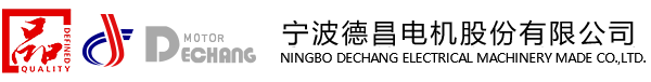 Dechang Motor logo