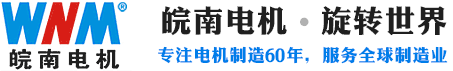 ANHUI WANNAN ELECTRIC MACHINE CO.,LTD. logo