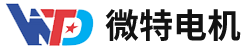Anhui Weite logo