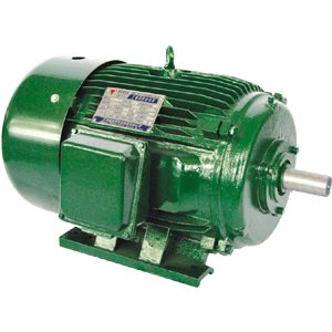 NEMA high-efficiency motor