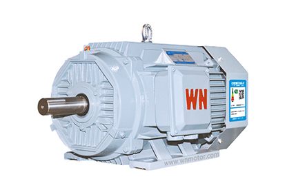 YE5 three-phase induction motor