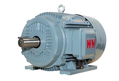 TYCP permanent-magnet synchronous motor