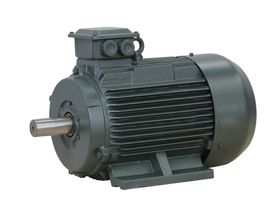 IEC general-purpose three-phase motor