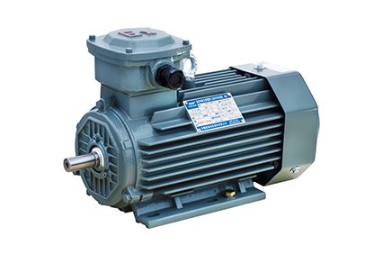 YFB5 dust explosion-proof three-phase motor