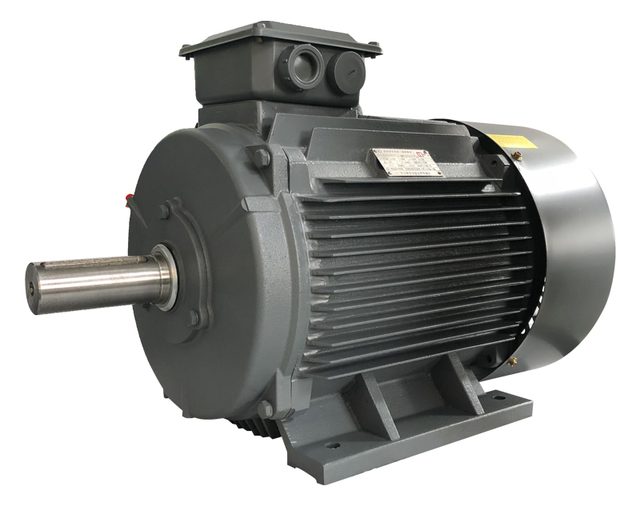 YE4 three-phase induction motor