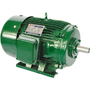 NEMA high-efficiency motor