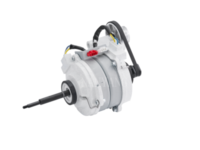 Tumble dryer motor