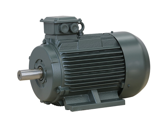 IEC general-purpose three-phase motor