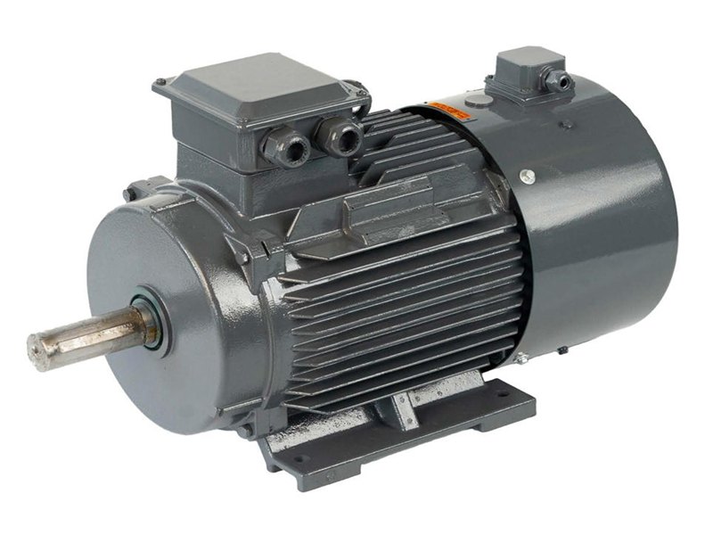 Low-voltage induction motor range