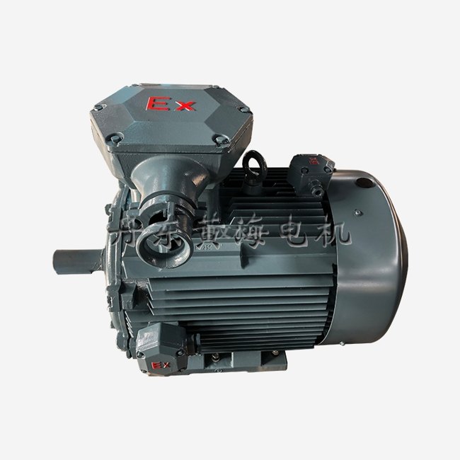 YBX4-250 high-efficiency flameproof motor