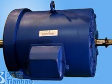 Variable-frequency elevator motor