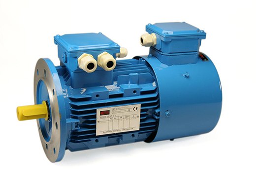 Variable-frequency induction motor