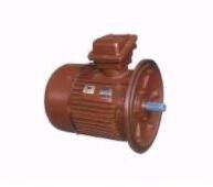 Winch motor