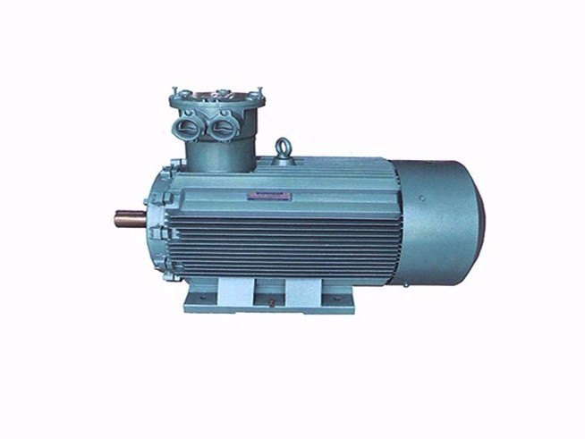 Explosion-proof variable-frequency motor