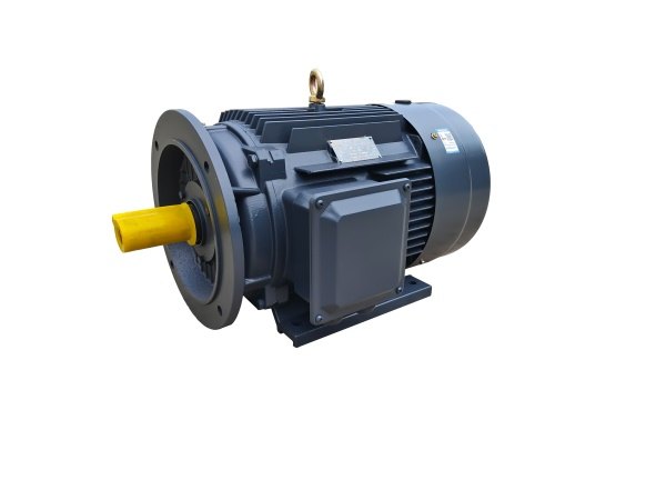 YE3 high-efficiency induction motor