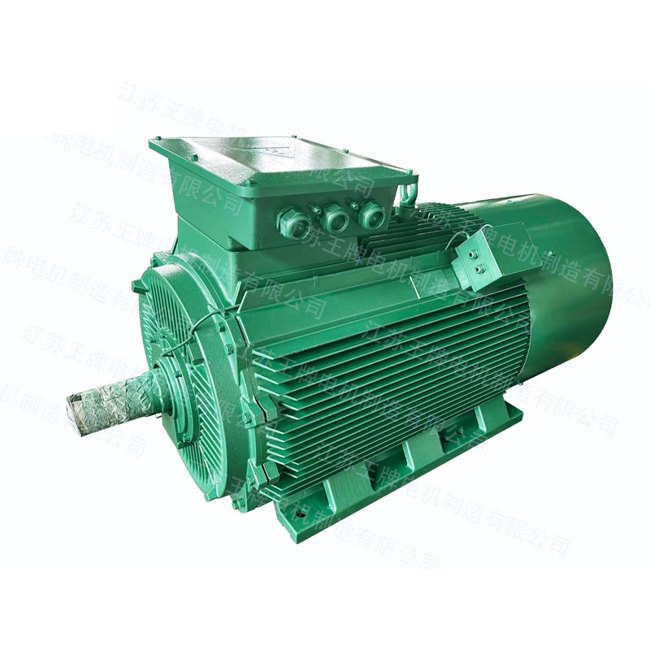 Y2-355-2 185kW high-voltage induction motor
