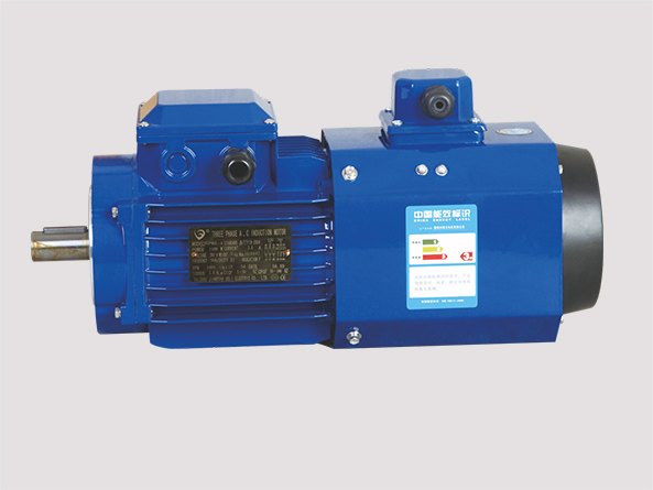 Square aluminium-housing variable-frequency motor