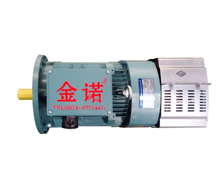 Construction-hoist electric motor