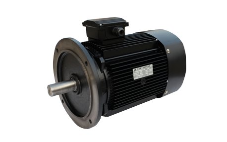 YE3 high-efficiency induction motor