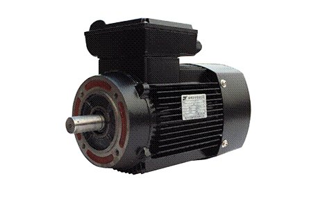 YY/YL single-phase induction motor