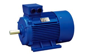 YE4/YE5 high-efficiency induction motor