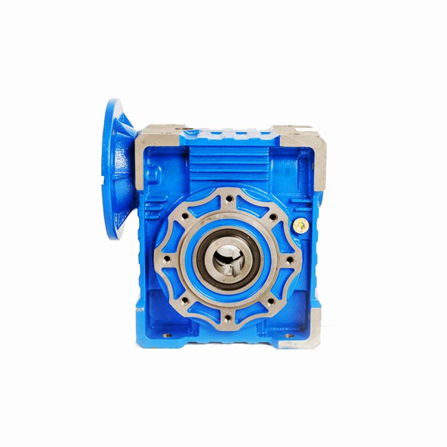 RV110 cast-iron worm gearbox