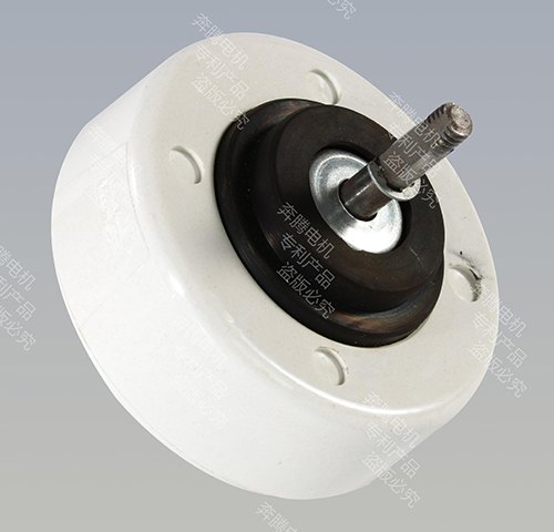 Plastic-encapsulated fan motor