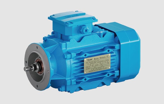 ZLS direct-coupled motor