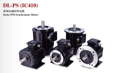DL-PS IC410 permanent-magnet synchronous motor