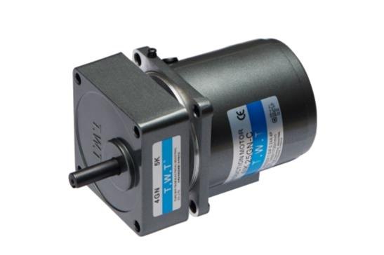 AC miniature standard geared motor