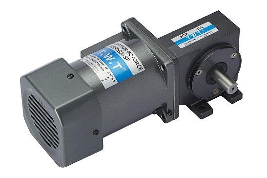 Worm geared motor