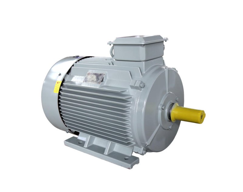 YE5 high-efficiency three-phase induction motor