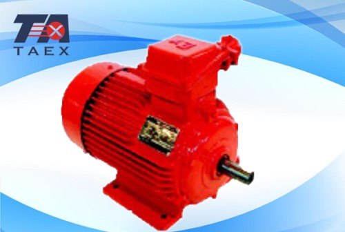 Dust explosion-proof motor