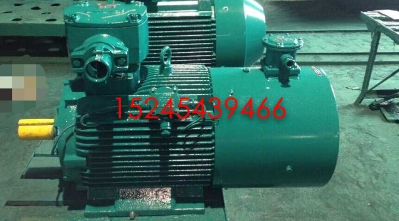 YBPT3 explosion-proof variable-frequency motor