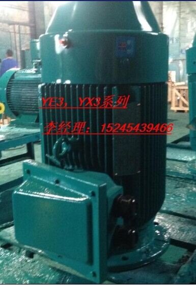 YE3 / YX3 vertical three-phase induction motor