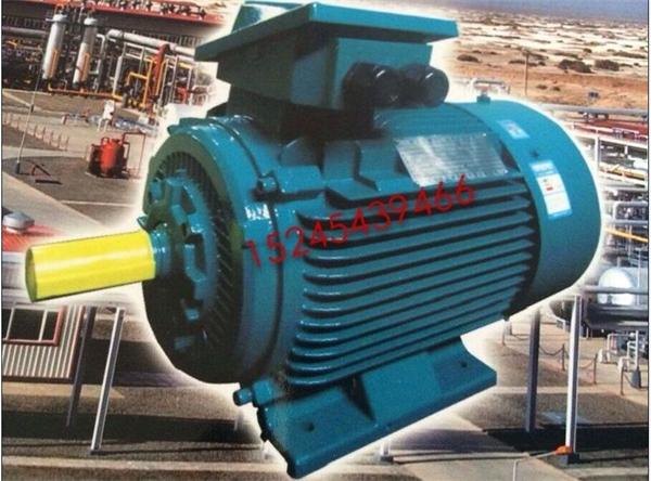 YX3 / YE3 energy-efficient three-phase motor