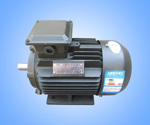 YE2 three-phase induction motor