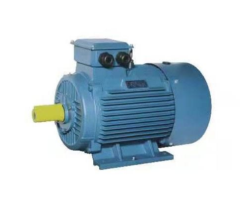 Y three-phase induction motor