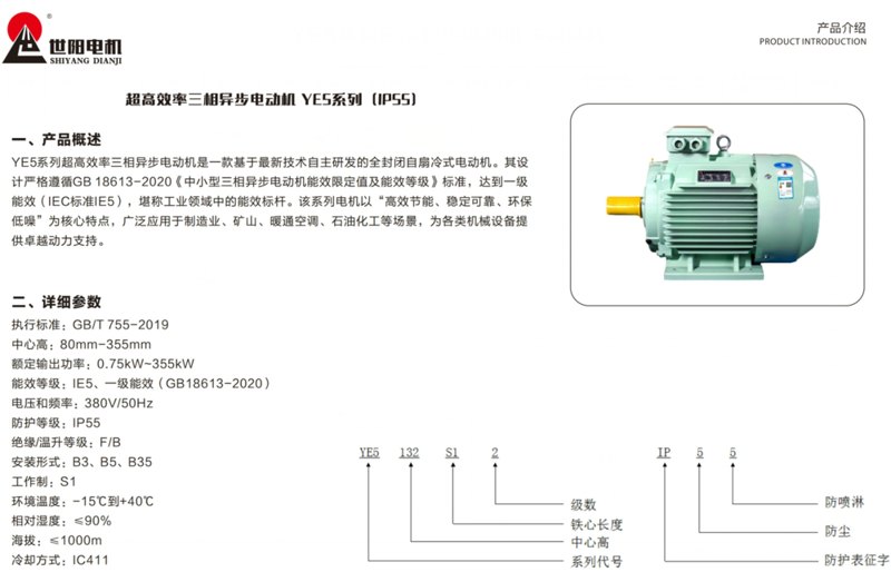 YE5 three-phase induction motor