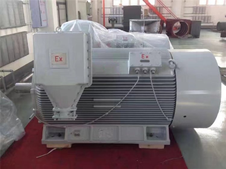 YBX3 high-voltage explosion-proof motor
