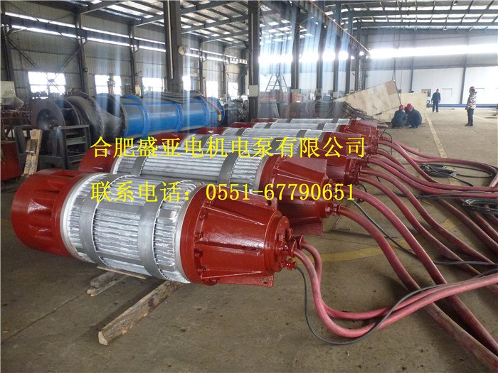 YQGN submersible motor, 55–1,400 kW range