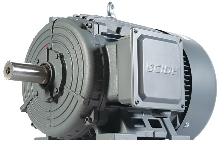 1TL8004 cast-iron induction motor