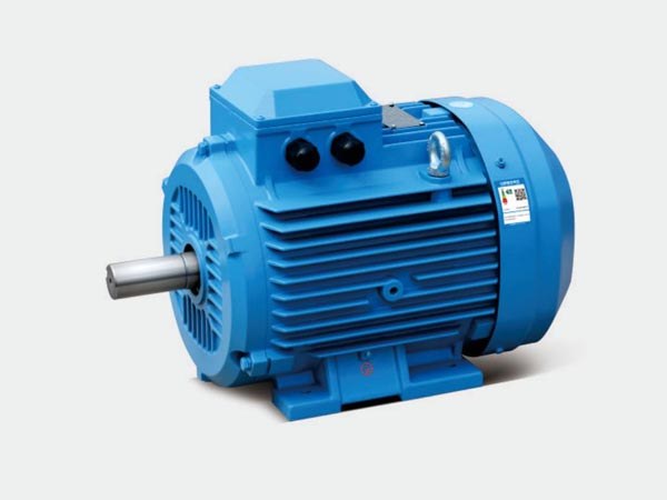 YE5 three-phase induction motor family