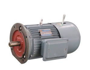 YEJ three-phase brake motor