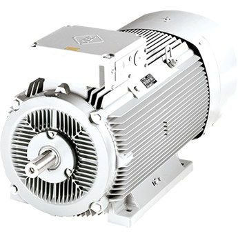 IEC standard low-voltage induction motors