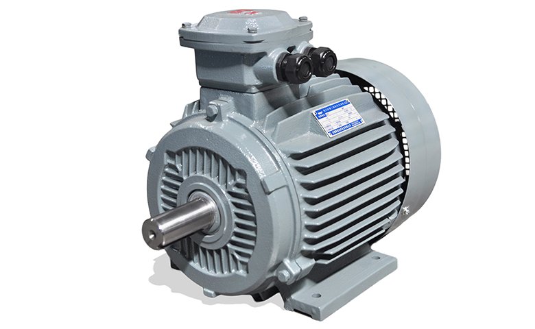 YFB4 dust explosion-proof induction motor